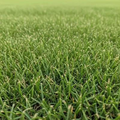 Imagen PNG para descargar